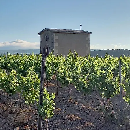 Domaine Saint Augustin *