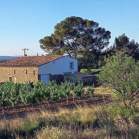 Domaine Saint Augustin *