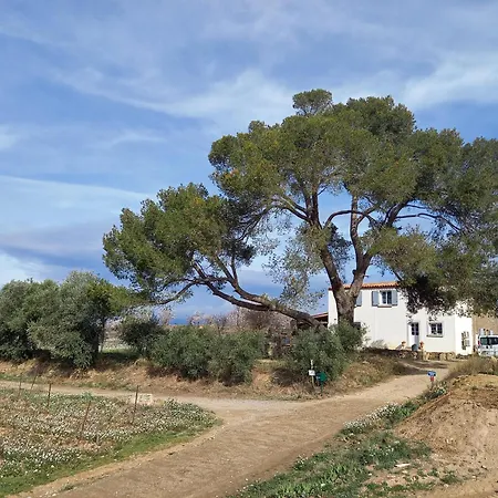 Domaine Saint Augustin Rieux-Minervois