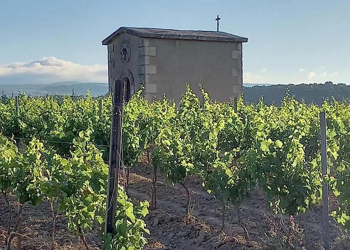 Domaine Saint Augustin *