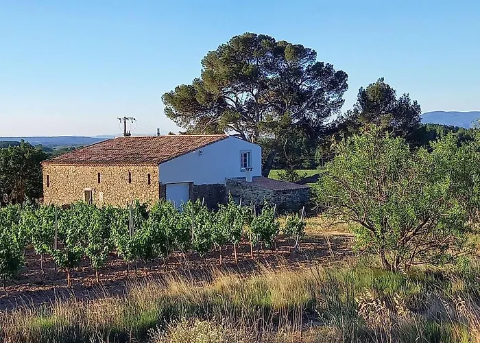 Domaine Saint Augustin *