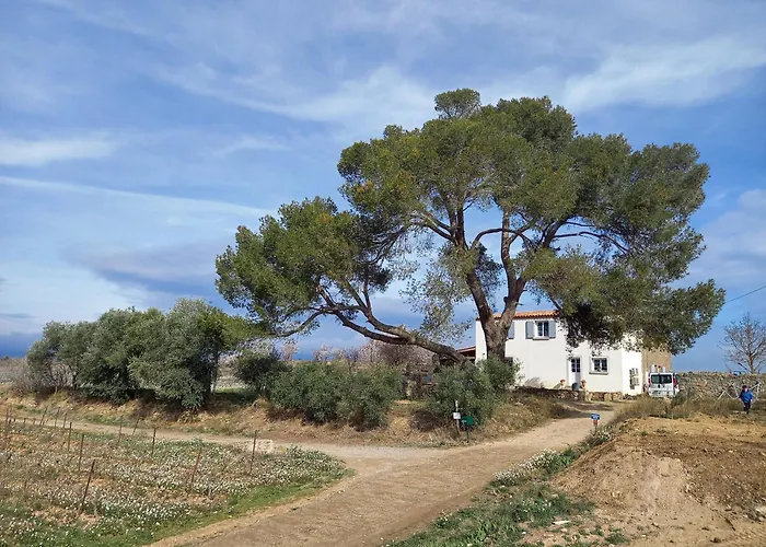 Domaine Saint Augustin Rieux-Minervois